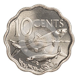 10 bahamian cent coin