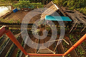 Bahay Kubo in the Philippines seen from above