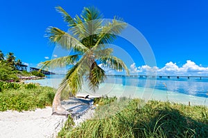 Bahia Honda State Park - Calusa Beach, Florida Keys - tropical coast with paradise beaches - USA