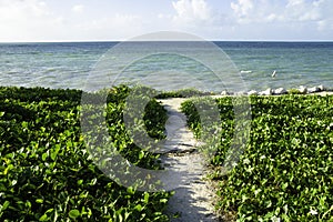 Bahia Honda State Park in the Florida Keys.