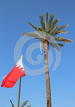 Bahrein flag and a palm tree