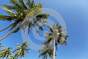 Bai Sao Beach, Phu Quoc Island, Vietnam.