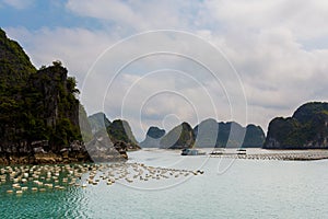 Bai Tu Long Bay cruise Halong Vietnam