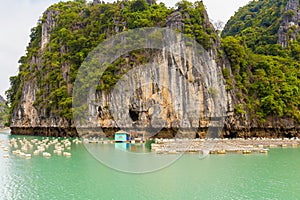 Bai Tu Long Bay cruise Halong Vietnam