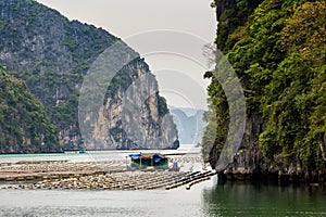 Bai Tu Long Bay cruise Halong Vietnam