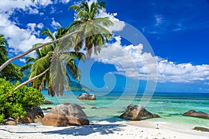 Baie Beau Vallon - paradise beach on island Mahe - beautiful coast of Seychelles photo
