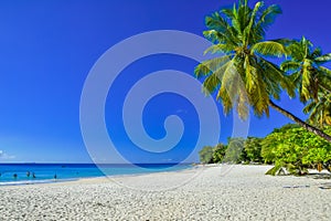 Baie Beau Vallon - paradise beach on island Mahe - beautiful coast of Seychelles