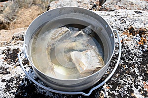 Baikal fish soup with grayling and omul, cooked outdoors in large saucepan