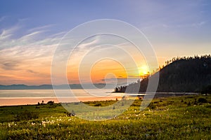 Baikal lake area landscape with pine trees and sands