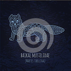 Baikal mustelidae illustration in doodle style.