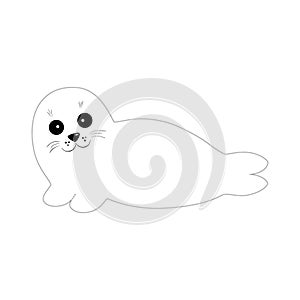 Baikal Seal