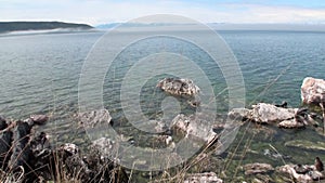 Baikal seal Pusa sibirica on Ushkany Islands.