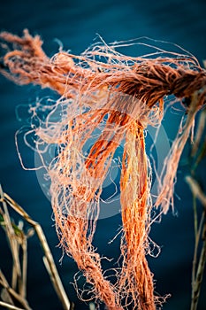 Bailer twine photo