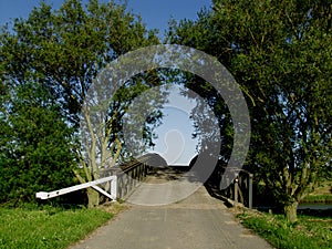 Bailey bridge and trees.