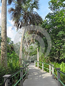 Bailey Homestead Preserve Trail