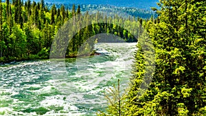 Bailey`s Chute, a narrow section in the Clearwater River, in Wells Gray Provincial Park