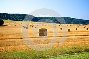 Bails of hay on farm land