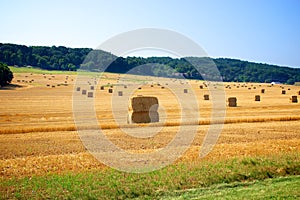 Bails of hay on farm land photo