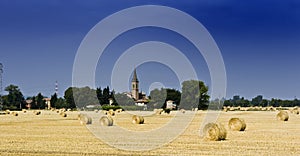 Bails of hay in a field