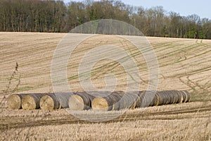 Bails of hay