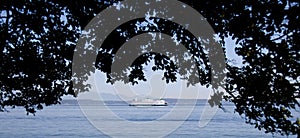 Bainbridge Island ferry passing Alki Beach