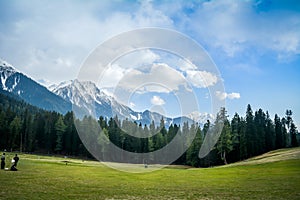 Baisaran Valley, Jammu and Kashmir, India