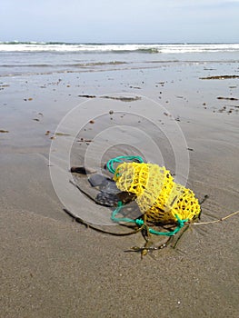 Bait bag on the beach