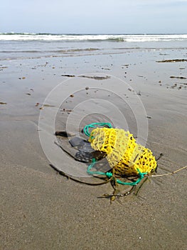 Bait bag in the sand