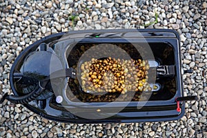 Bait for carp inside a bait boat on a sunny May day