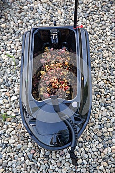 Bait for carp inside a bait boat on a sunny May day