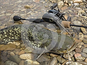 Baitcasting fishing in central Europe