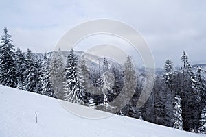 Baiului mountains seen from the Grecului valley