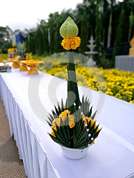 Baiyis or Rice offering in Thai Buddhists