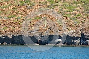 Baja california beach