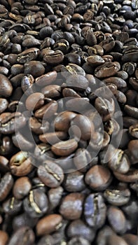 Bajawa Arabica Coffee Beans photo