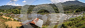 Panorama on Rice paddies in the beautiful and luxurious countryside around bajawa Nusa Tenggara, flores island, Indonesia