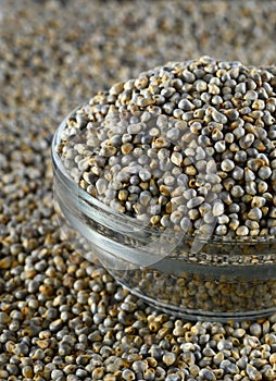 Bajra Pearl millet in glass bowl