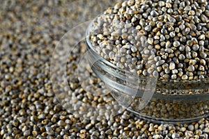 Bajra Pearl millet in glass bowl