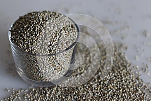 Bajra is a traditional Hindi name for the Pennisetum glaucum crop also known as pearl millet