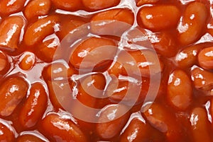 Baked beans in tomato sauce