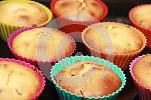Baked biscuit yellow edible cupcakes in multi-colored a silicone forms