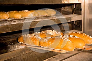 Baked bread in the bakery