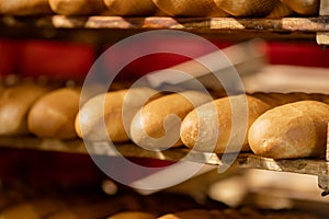 Baked breads on automatic production line bakery from hot oven