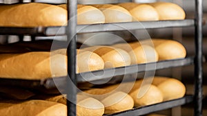 Baked breads on automatic production line bakery from hot oven