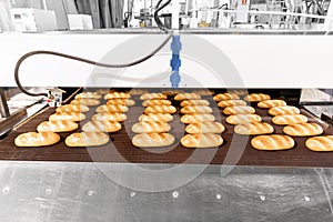 Baked breads on automatic production line bakery from hot oven