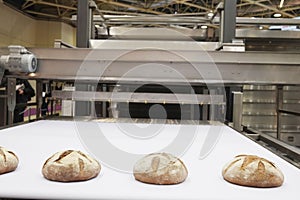 Baked breads on production line