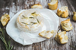 Baked camembert cheese with toasts and rosemary herbs on the rustc background photo