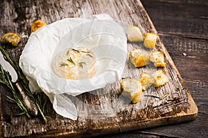 Baked camembert cheese with toasts and rosemary herbs on the rustc background photo