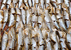 Baked capelin.