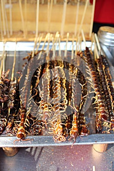 Baked Centipedes for Sale